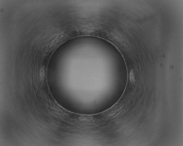 X0000089661299200707121149