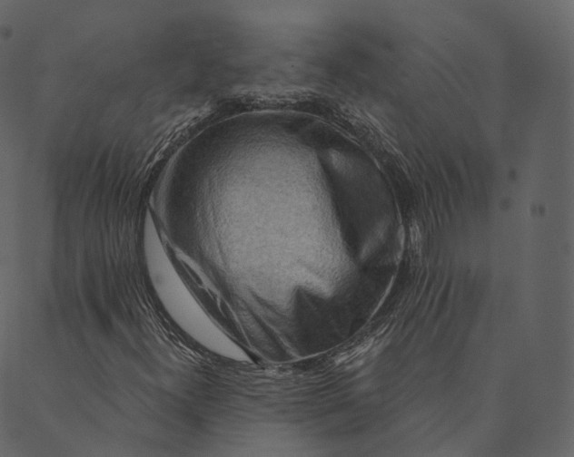 X0000089661300200707121149