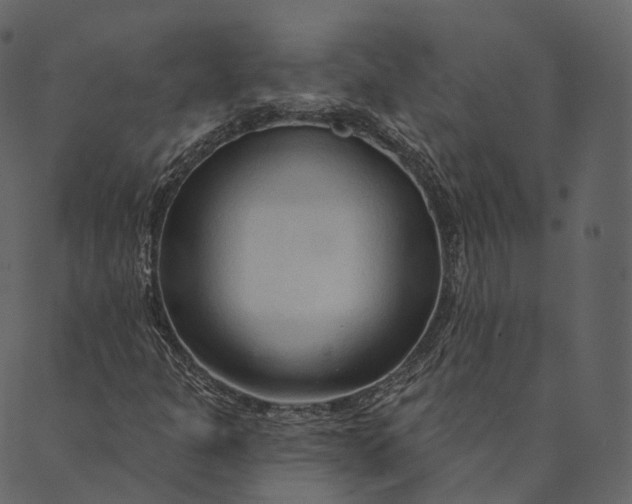 X0000089661301200707121149