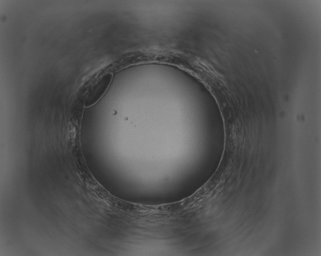 X0000089661302200707121149