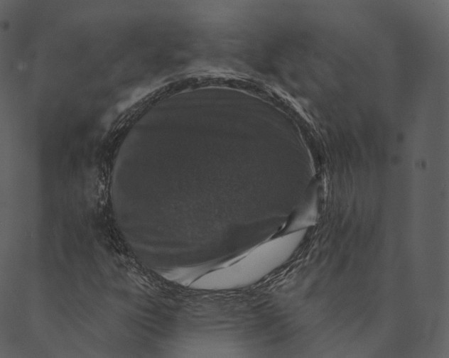 X0000089661303200707121149