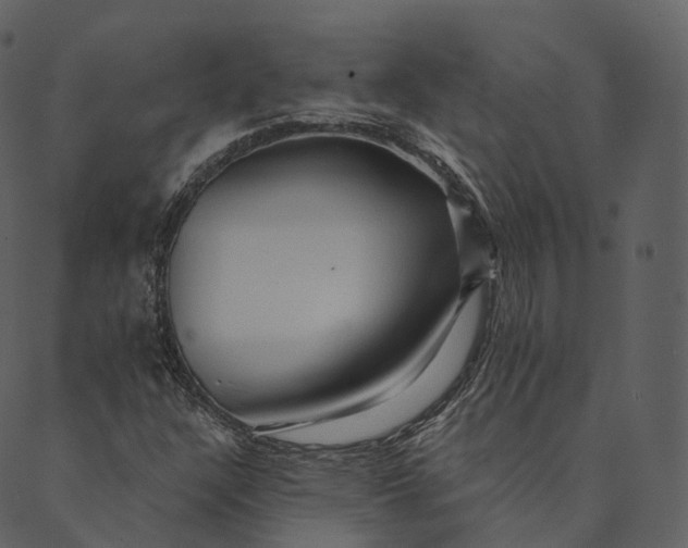 X0000089661304200707121149