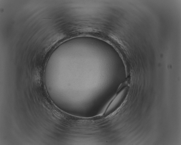 X0000089661305200707121149