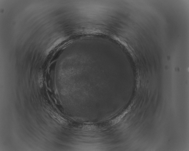 X0000089661306200707121149