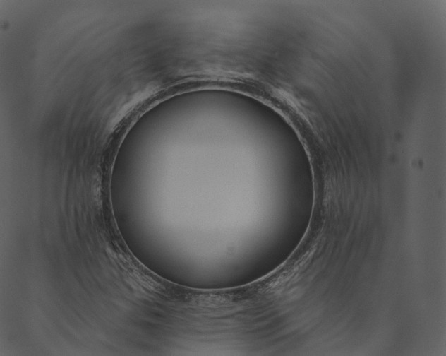 X0000089661307200707121149