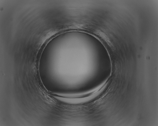 X0000089661308200707121149