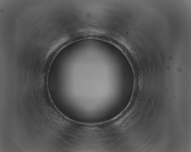 X0000089661309200707121149