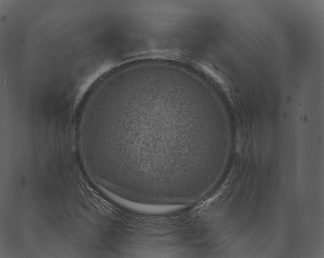 X0000089661310200707121149