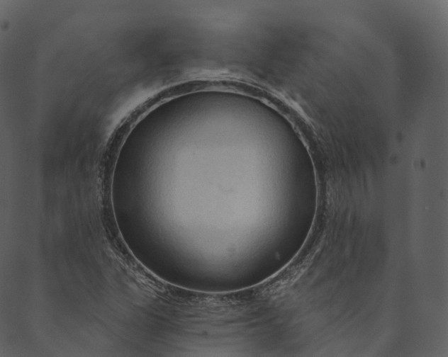 X0000089661311200707121149