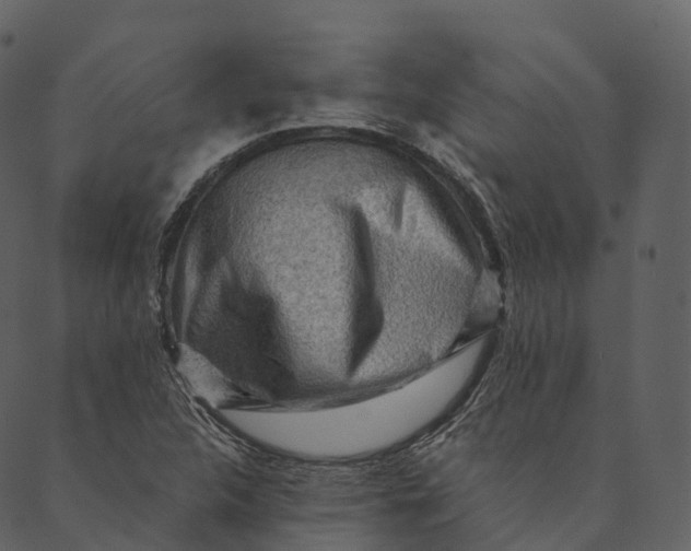 X0000089661312200707121149