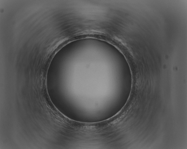 X0000089661313200707121149