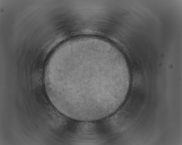 X0000089661314200707121149