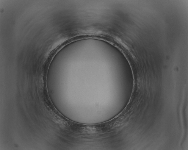 X0000089661315200707121149