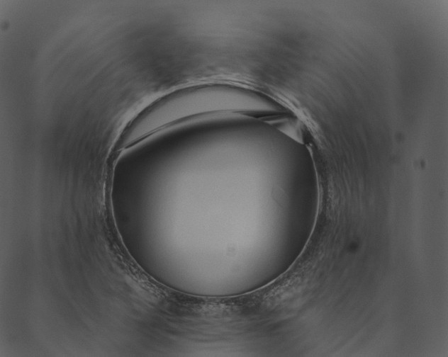 X0000089661316200707121149