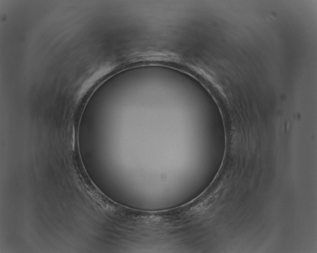 X0000089661317200707121149