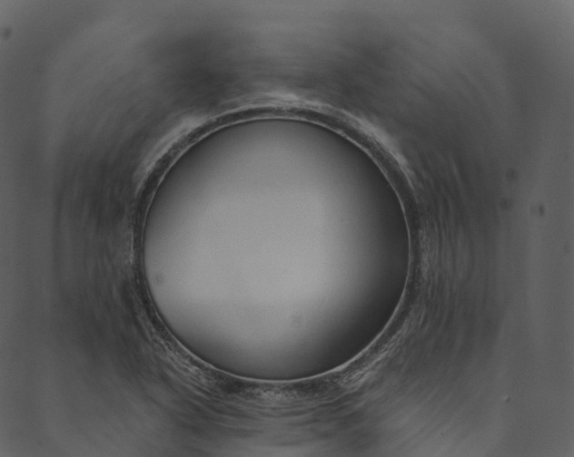 X0000089661318200707121149