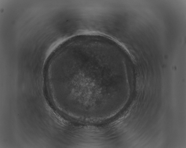 X0000089661319200707121149