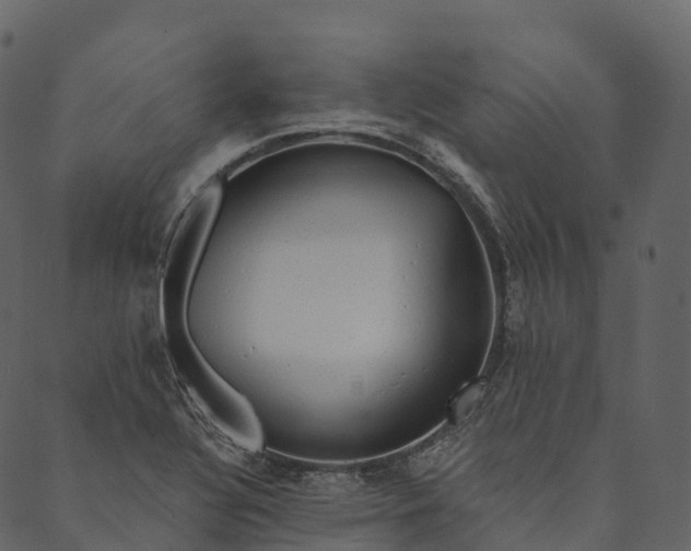 X0000089661320200707121149