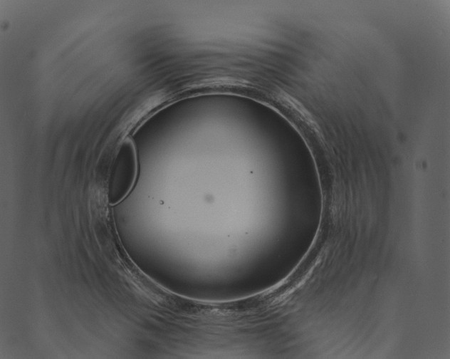 X0000089661321200707121149