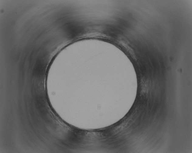 X0000089661322200707121149