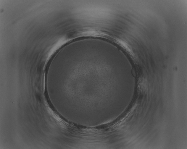 X0000089661323200707121149