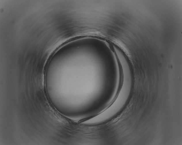 X0000089661324200707121149