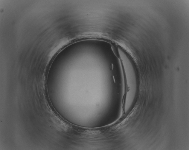 X0000089661325200707121149