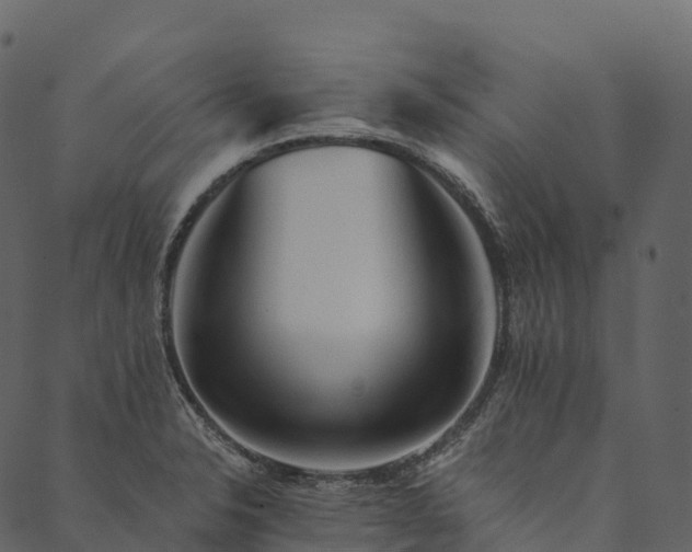 X0000089661326200707121149