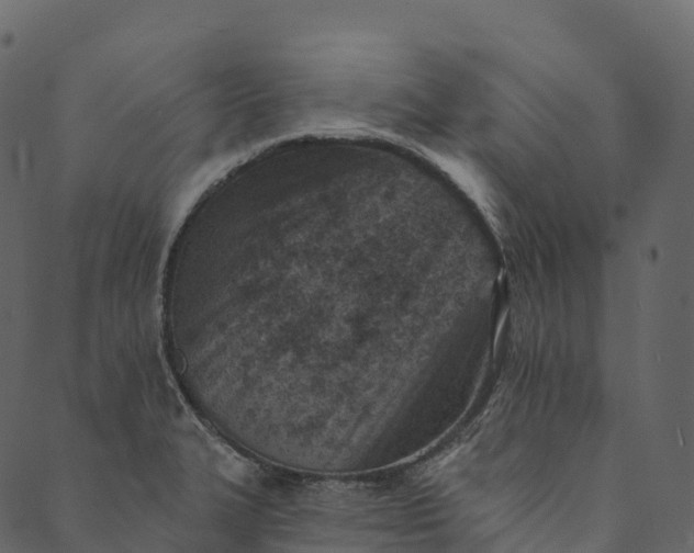 X0000089661327200707121149