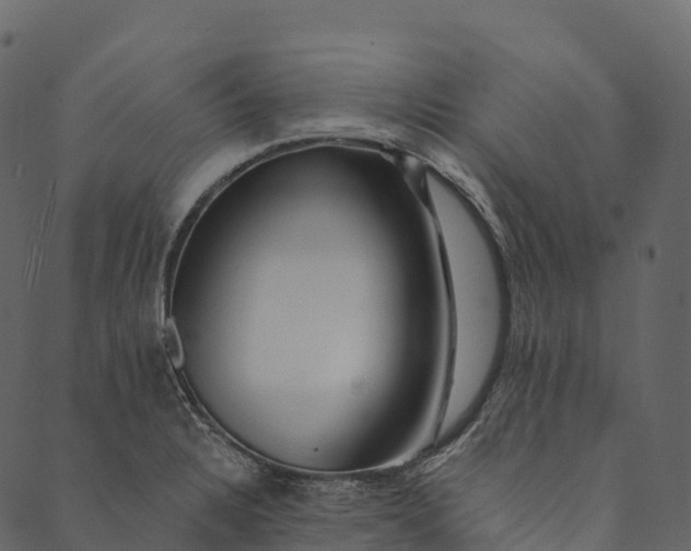 X0000089661328200707121149