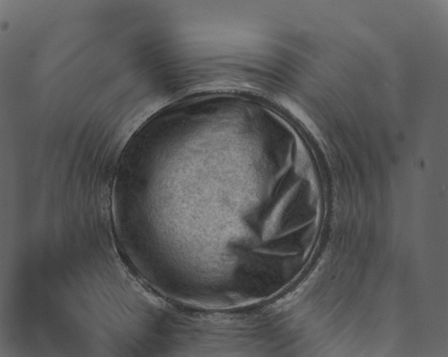 X0000089661329200707121149