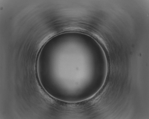 X0000089661330200707121149