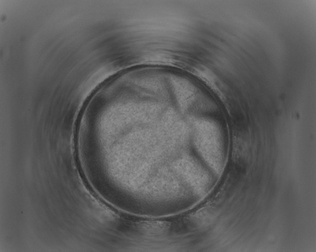 X0000089661331200707121149