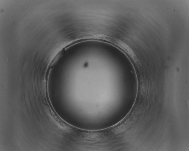 X0000089661332200707121149