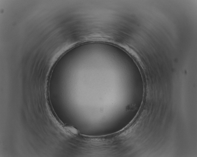 X0000089661333200707121149