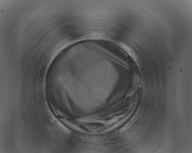 X0000089661334200707121149