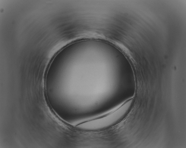 X0000089661335200707121149