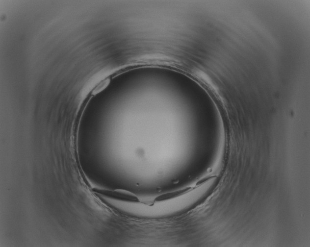 X0000089661336200707121149