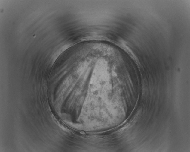 X0000089661337200707121149