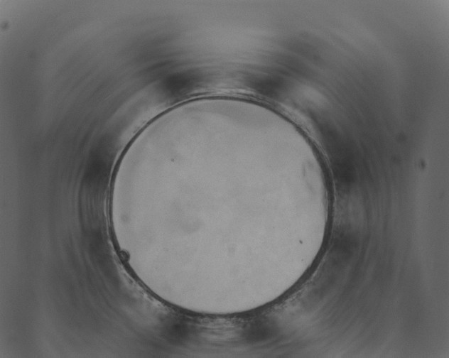 X0000089661338200707121149