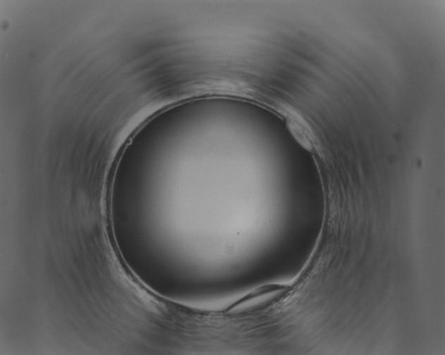 X0000089661339200707121149