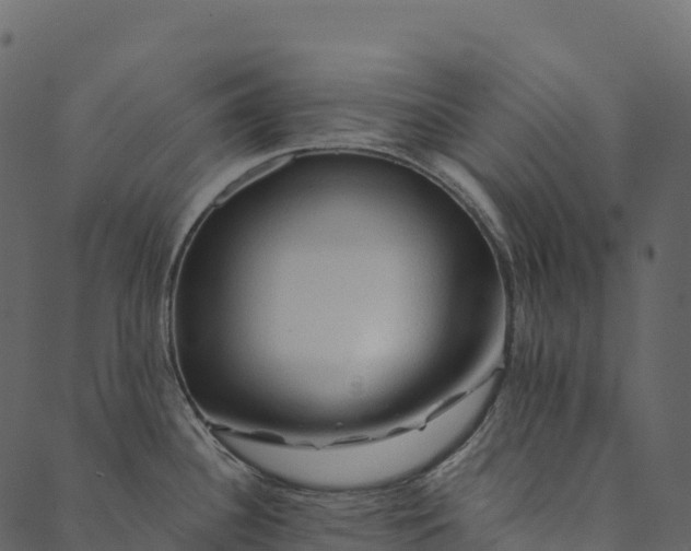 X0000089661340200707121149