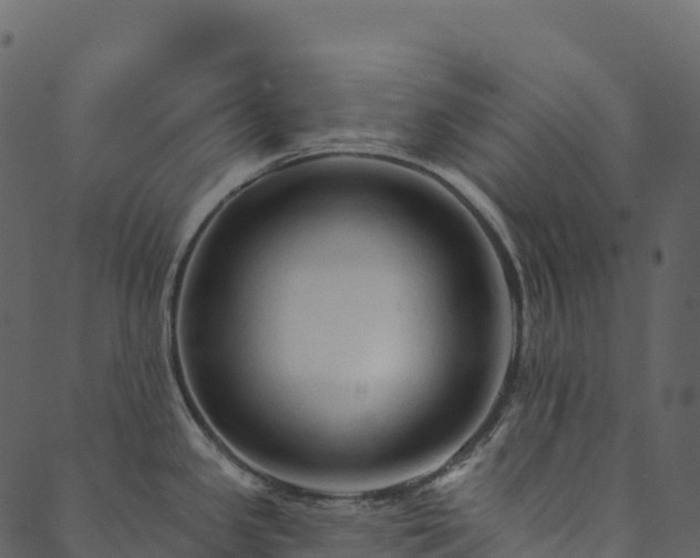 X0000089661341200707121149