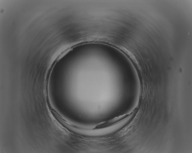 X0000089661342200707121149