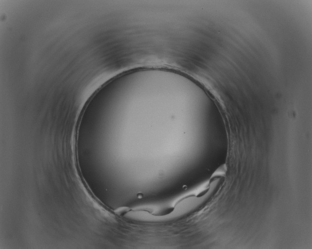 X0000089661343200707121149