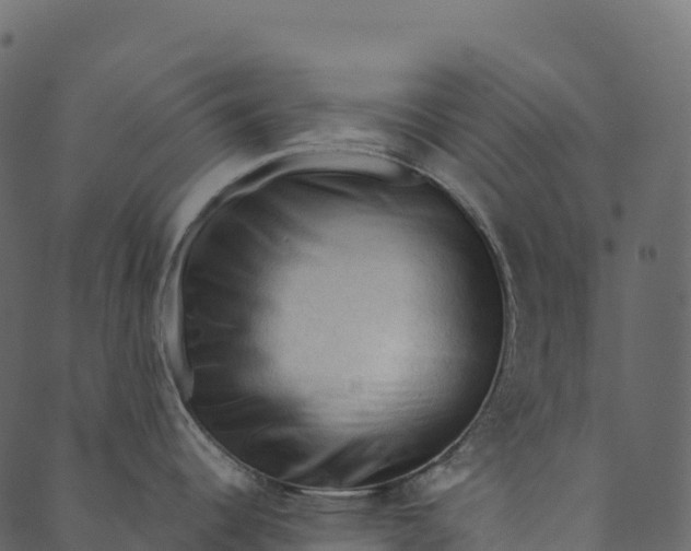 X0000089661344200707121149