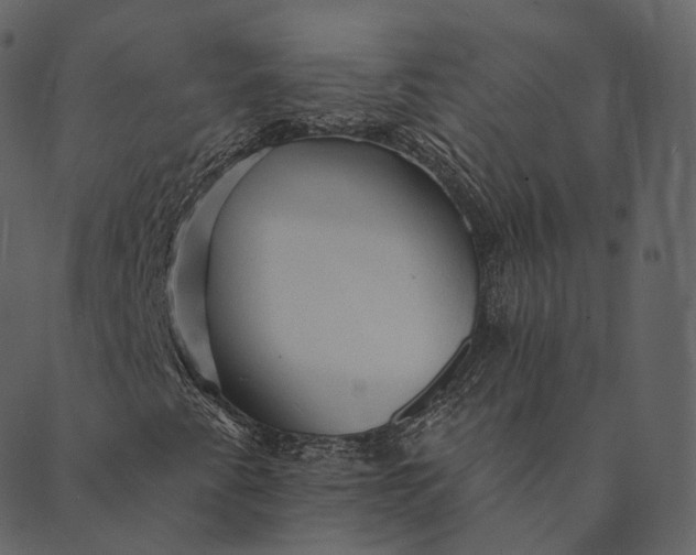 X0000089661345200707121148