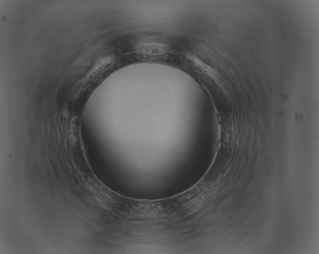 X0000089661346200707121148