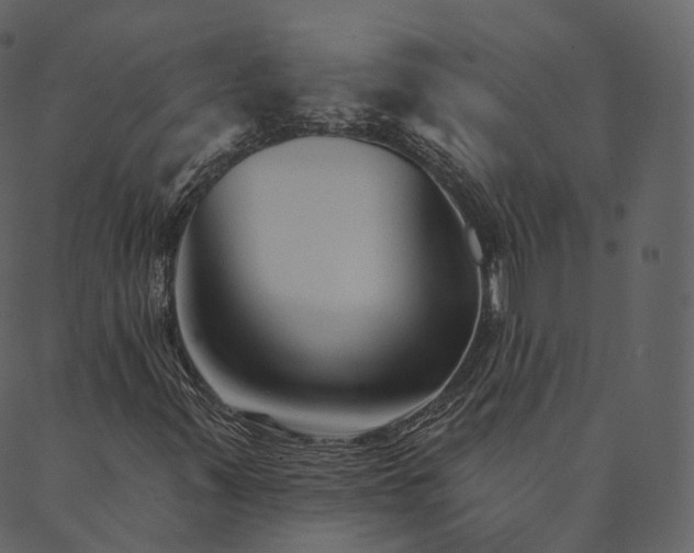 X0000089661347200707121148