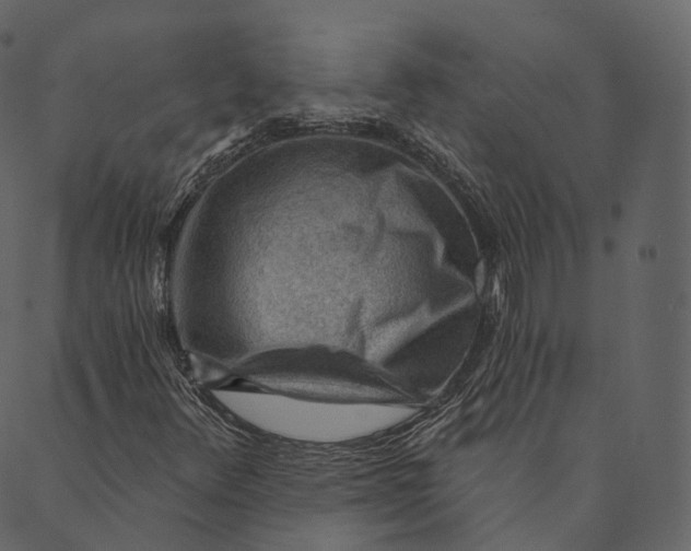 X0000089661348200707121148